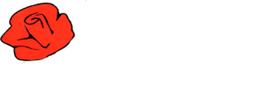 rose pallet branding white